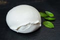 ÃÂ¡heese collection, one big ball on soft white italian mozzarella bufala cheese Royalty Free Stock Photo